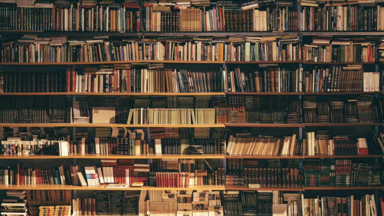 Quiet library stacks — research environment